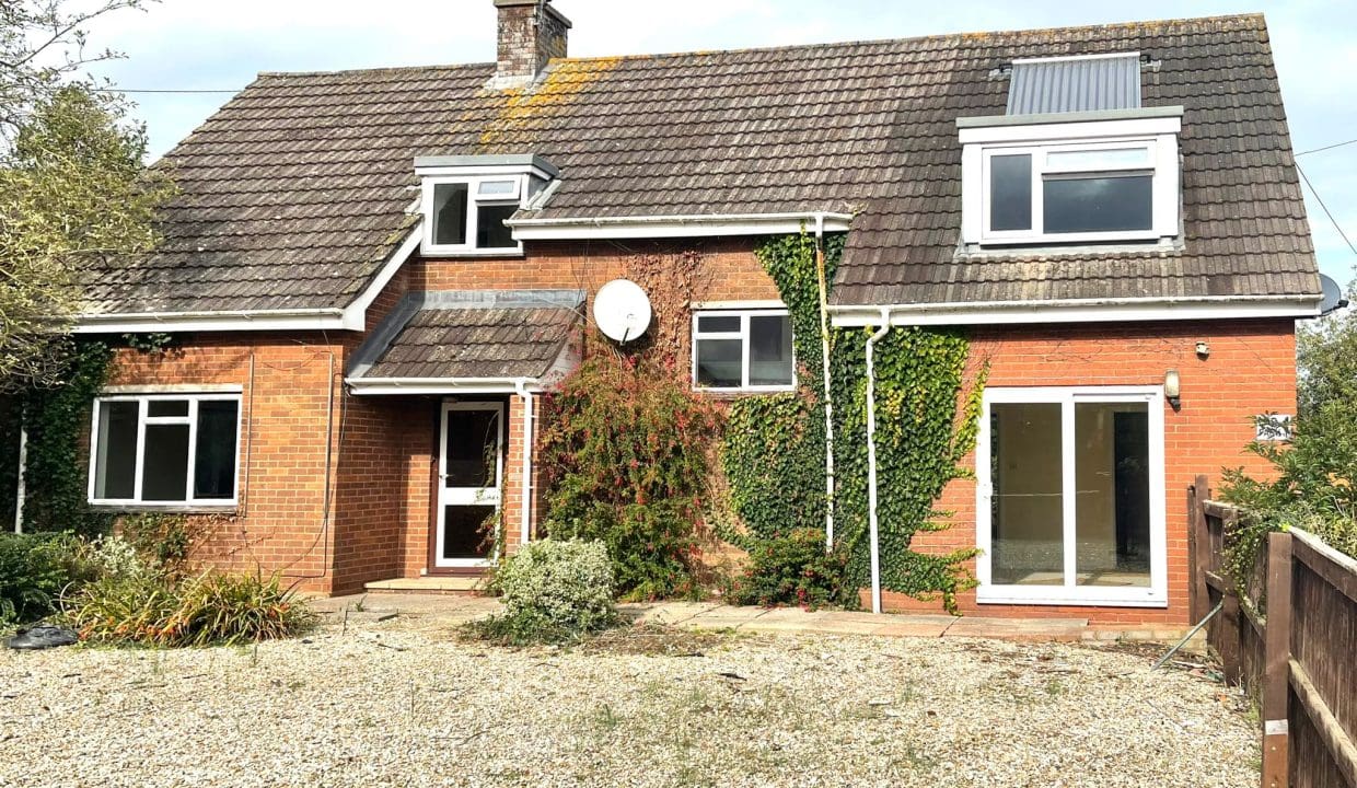 WhatsApp Image 2023-11-30 at 20.51.16_d8f093c3