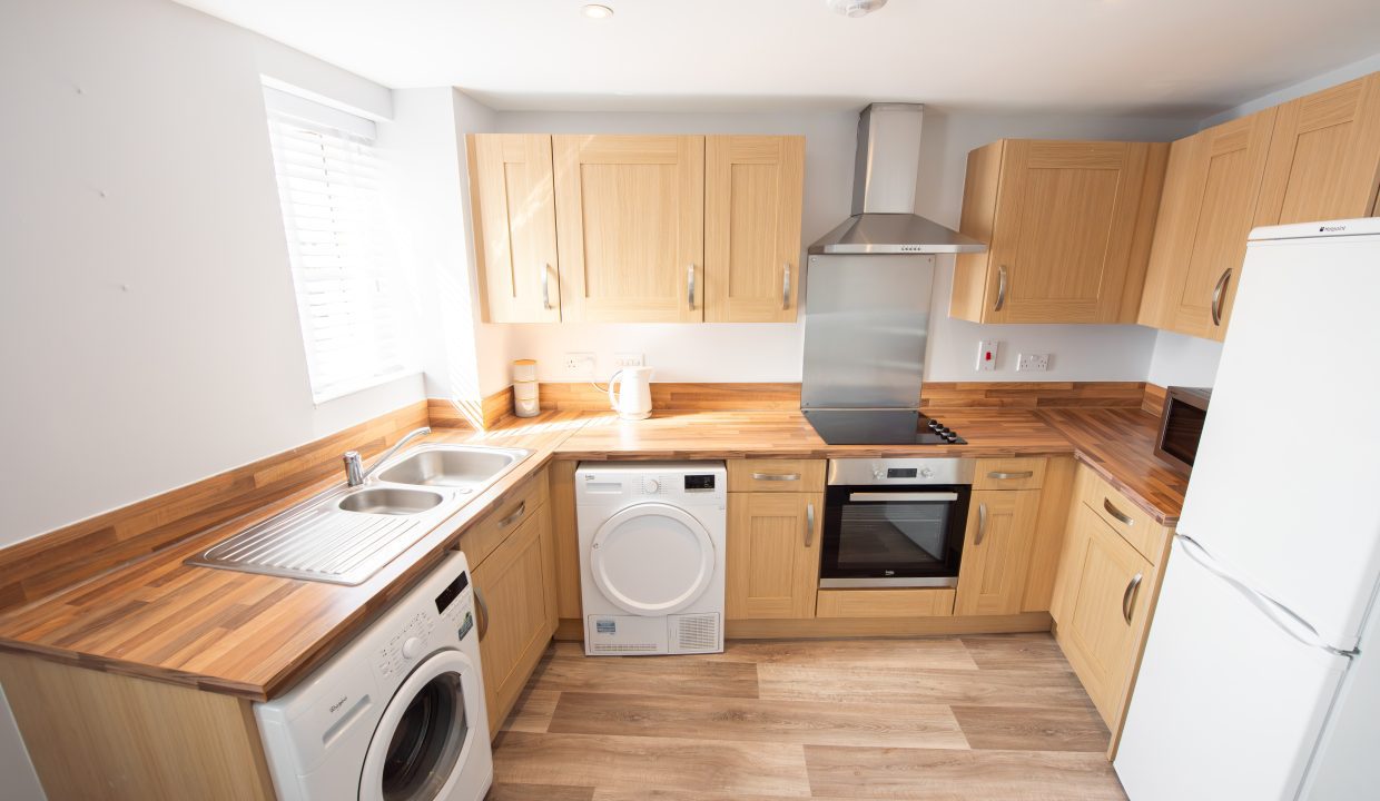 DSC_0040-Enhanced-NR