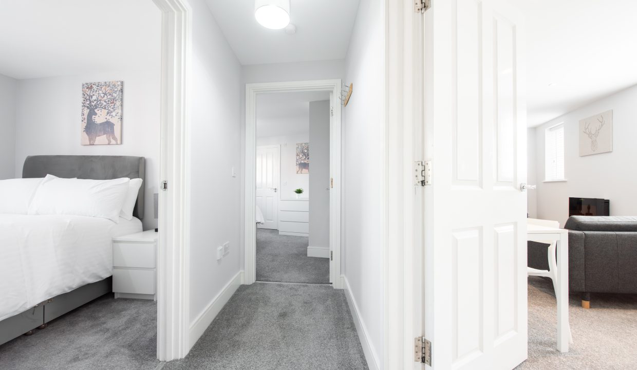 DSC_0245-Enhanced-NR