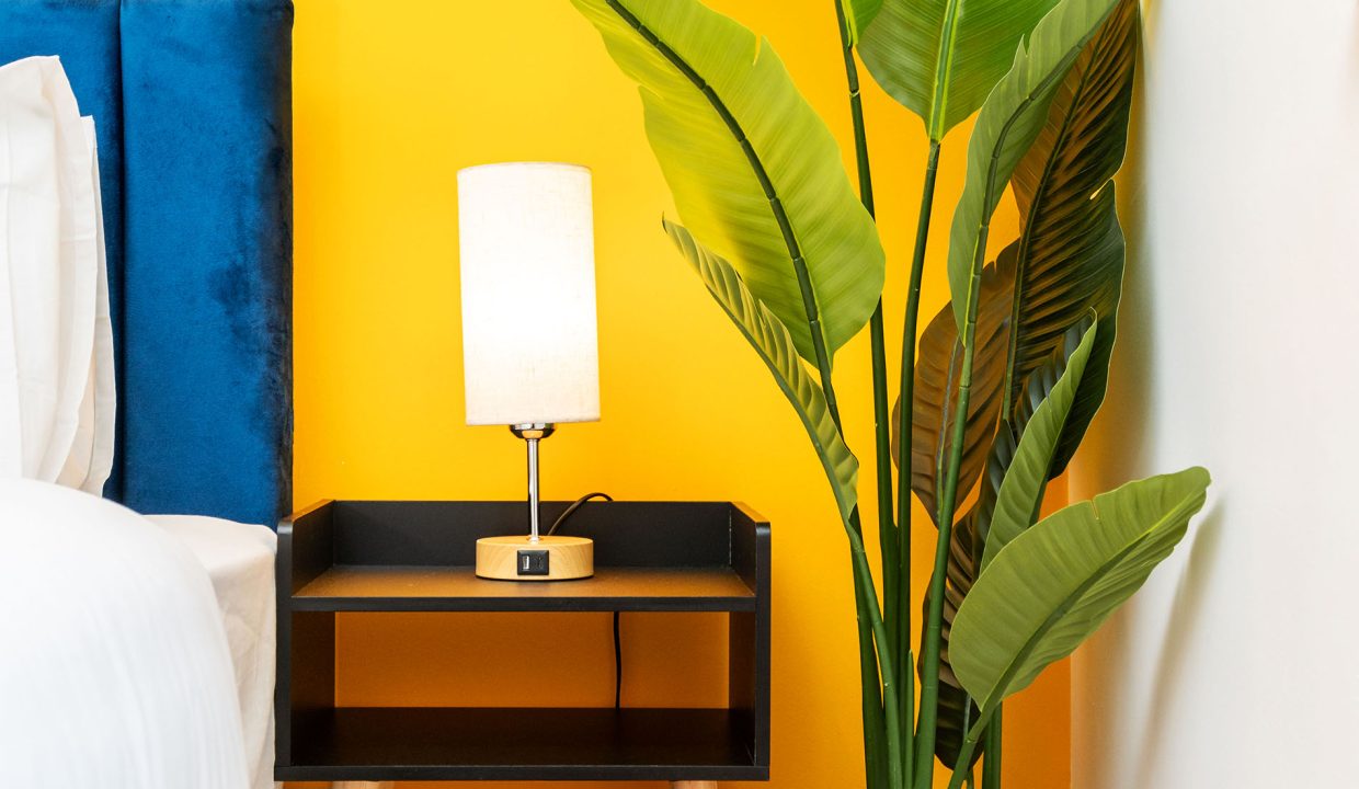 twin-room-with-bedside-table-and-plant-sheffield